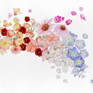 CD Gretchen Parlato: Flor
