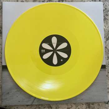 LP Greyhaven: This Bright And Beautiful World CLR | LTD