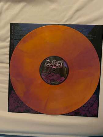LP Greylotus: Dawnfall