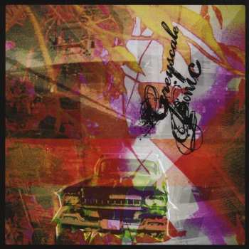 Album Greyscale Picnic: Panic In The Mosaic Era