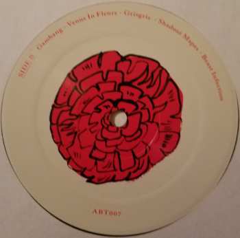 LP Grimes: Geidi Primes