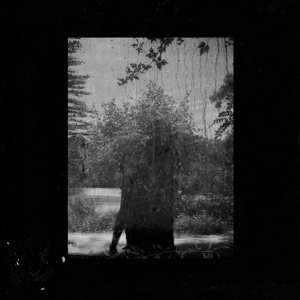 Album Grouper: Ruins