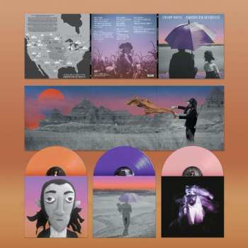 Album Gruff Rhys: American Interior