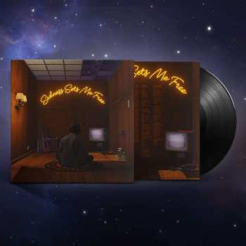 Album Gruff Rhys: Sadness Sets Me Free