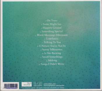 CD Gschu: A Picture You' re Not In