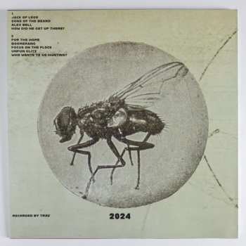 LP Guided By Voices: Goodnight El Dorado: Strange Bedfellows In The Aftermath LTD