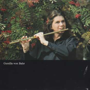 CD Musica Vitae: Solflöjt 4 (Sun-Flute 4 - Sonnenflöte 4 - Flûte Soleil 4)