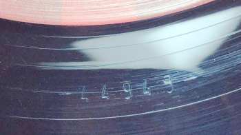 LP Guru Guru: Electric Cats LTD | NUM | CLR