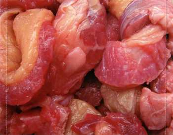 CD Gutbucket: Sludge Test