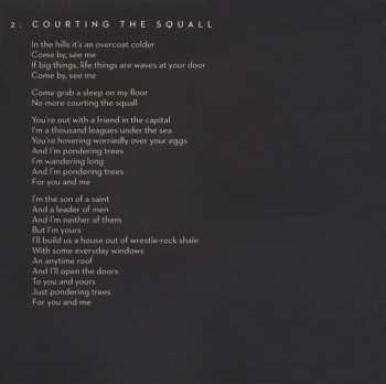 CD Guy Garvey: Courting The Squall