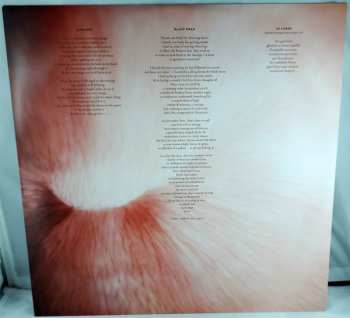 LP Gyða Valtýsdóttir: Ox