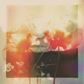 Album gyrofield: Akin