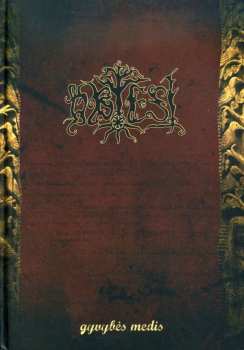 Album Obtest: Gyvybės Medis