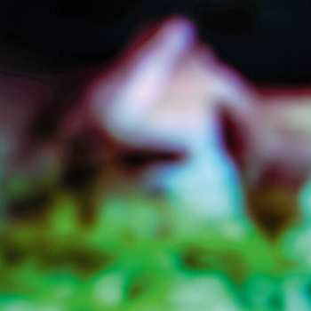 Album Hair & Treasure: Disc Rot