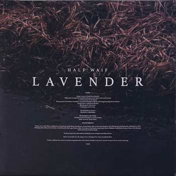 LP Half Waif: Lavender LTD