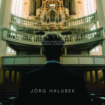 Album Halubek,jorg: Organ Landscapes Ix
