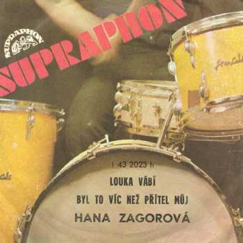 Album Hana Zagorová: Louka Vábí / Byl To Víc Než Přítel Můj