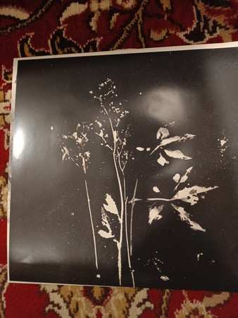 LP Hanging Garden: The Garden CLR | LTD | NUM