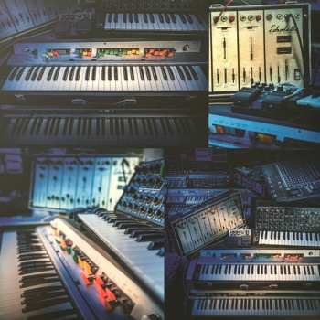 LP Hans-Joachim Roedelius: Selbstportrait Wahre Liebe