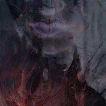 CD Hante.: Fierce Remixes & More