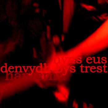 Album Hanterhir: There Is No One To Trust (nyns Eus Denvydth Bys Tr