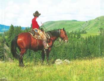 CD Harcovníci: Vzpomínky Na Michala Tučného A Ostatní Country Hity