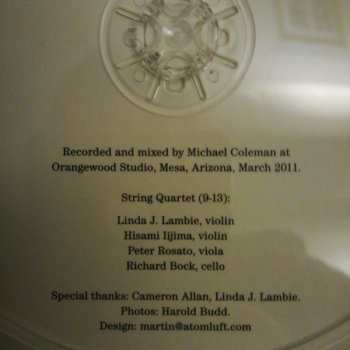 CD Harold Budd: In The Mist