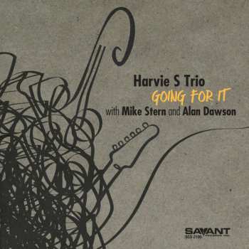 CD Mike Stern: Going For It 