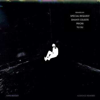 LP Hayes Bradley: Audience (remixed)