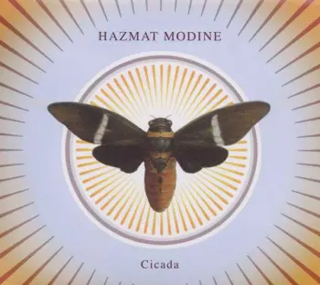 Cicada