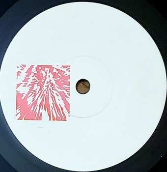 SP Height/Dismay: Height/Dismay LTD