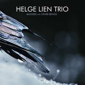 LP Helge Lien Trio: Badgers And Other Beings