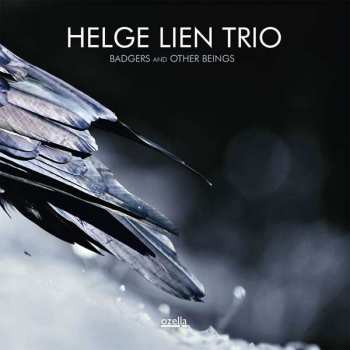 CD Helge Lien Trio: Badgers And Other Beings