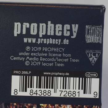 LP Hexvessel: All Tree CLR | LTD