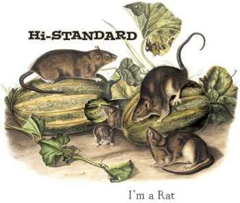 Album Hi-Standard: I'm A Rat