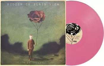 Hidden In Plain View: Life In Dreaming