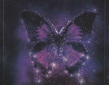 CD Hidden Lapse: Butterflies
