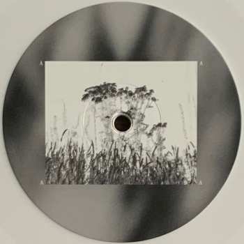 LP Hinako Omori: A Journey... CLR