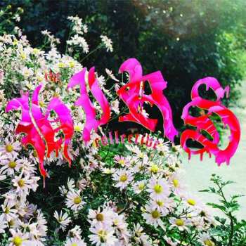 Album Hirs Collective: Friends.lovers.favorites.
