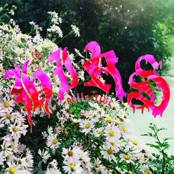 +HIRS+: Friends Lovers Favorites