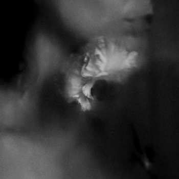 Album Holding Absence: Holding Absence