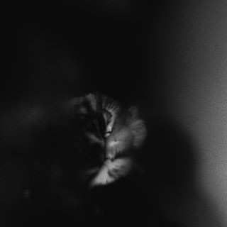 LP Holding Absence: Holding Absence CLR | LTD