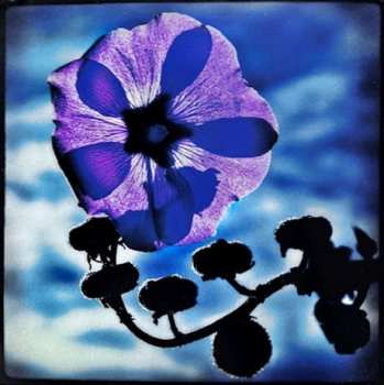 LP Holly Cole: Holly