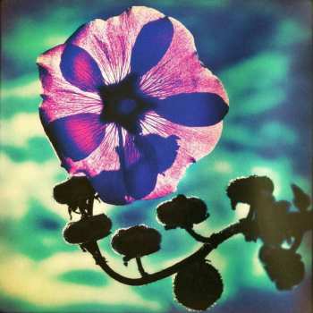 LP Holly Cole: Holly