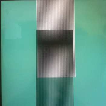 2LP Hot Chip: Why Make Sense? DLX | LTD