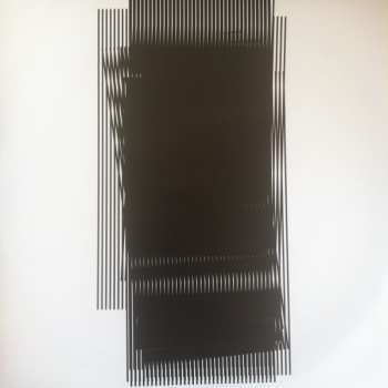 2LP Hot Chip: Why Make Sense? DLX | LTD