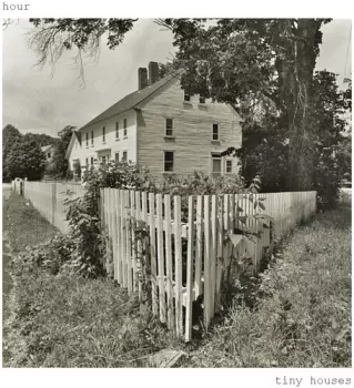 Tiny Houses + Anemone Red