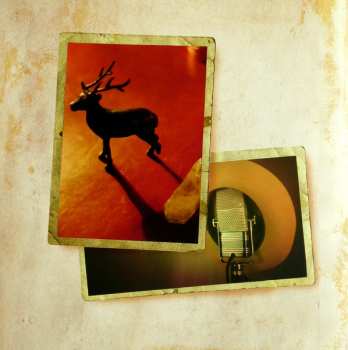 LP Howe Gelb: Future Standards
