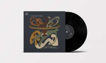 LP Human Being Human: Disappearance