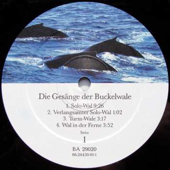 LP Humpback Whale: Die Gesänge Der Buckelwale